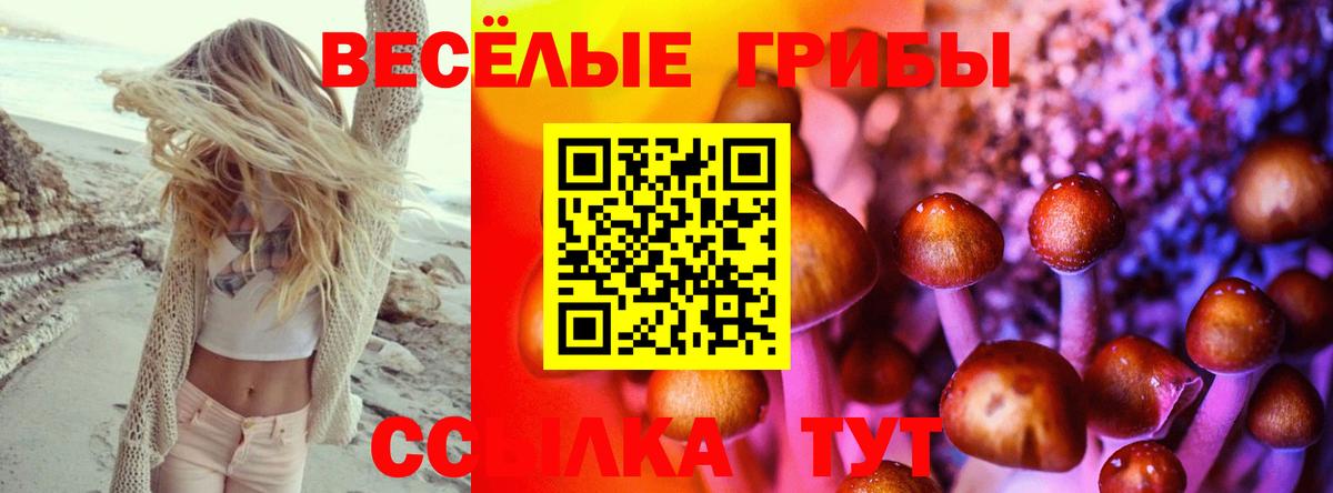 Галлюциногенные грибы ЛСД  Вход с VPN  Выборг  Псилоцибиновые грибы Cubensis 